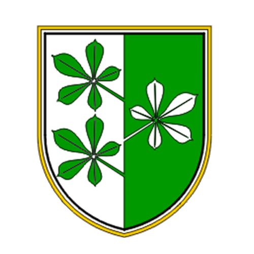 Kidričevo